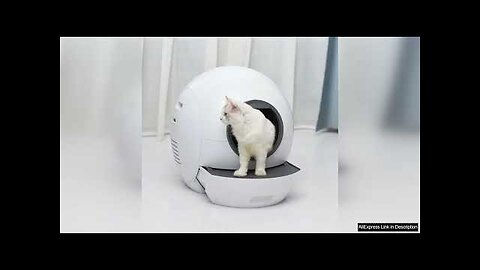 Self-cleaning Cat Litter Box Sandboxes for Automatic Cleaning Cats Litter & Housebreaking Review