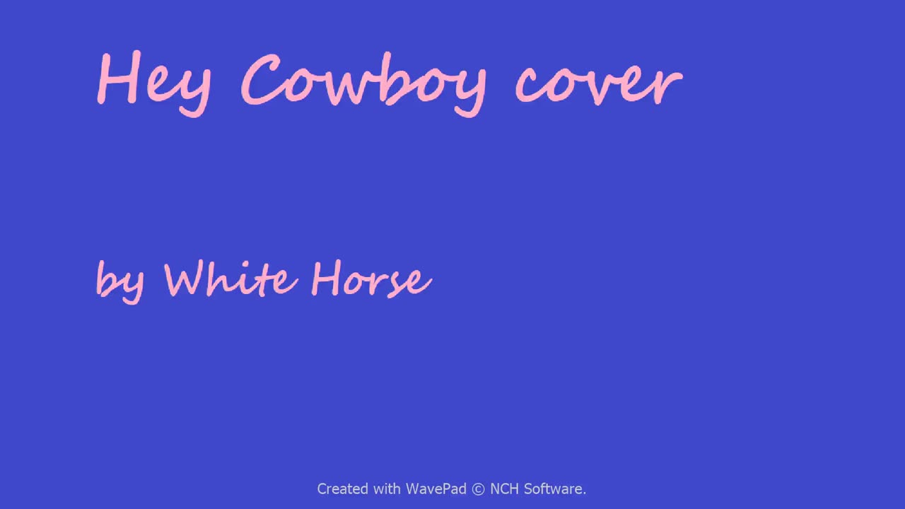 Hey Cowboy cover