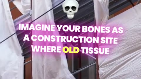 Your Bones: Constantly Renewing & Evolving!