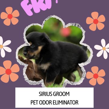 Sirius Groom Odor Eliminator