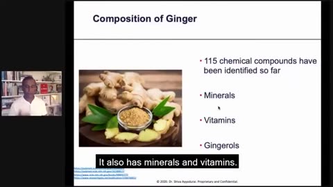 Dr.SHIVA™: Ginger on Immune Health @CytoSolve® Systems Analysis(8/20)
