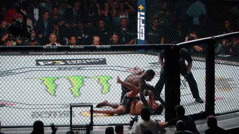 UFC bloody arena
