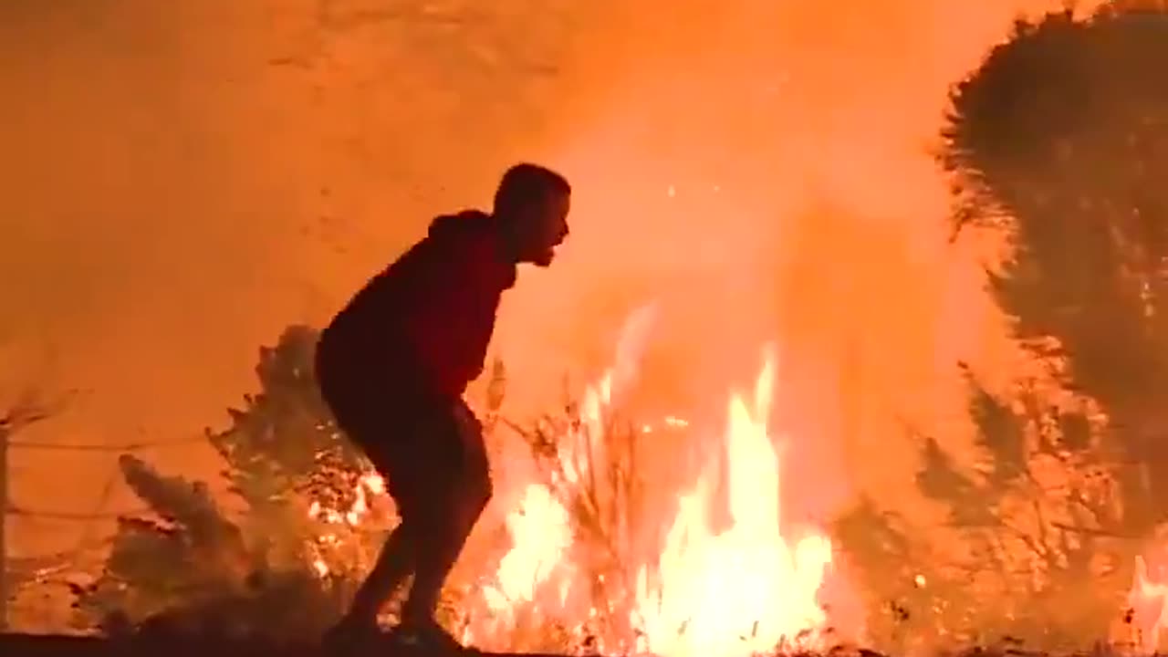 The boy saved the rabbit from being burned in the fire