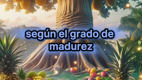 Cuál es la fruta más grande del mundo.