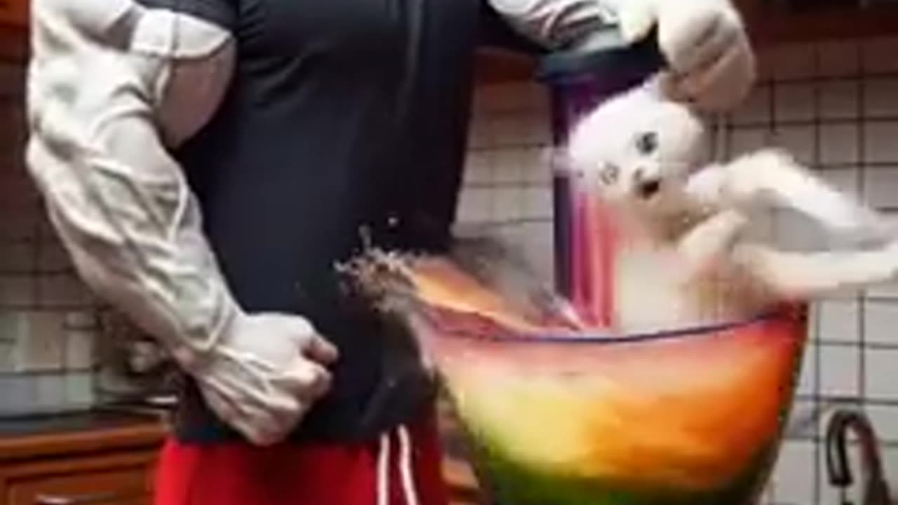 Short Video