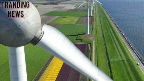 Octopus Energy launches platform for customers invest wind turbines with £25 - what are the risks?