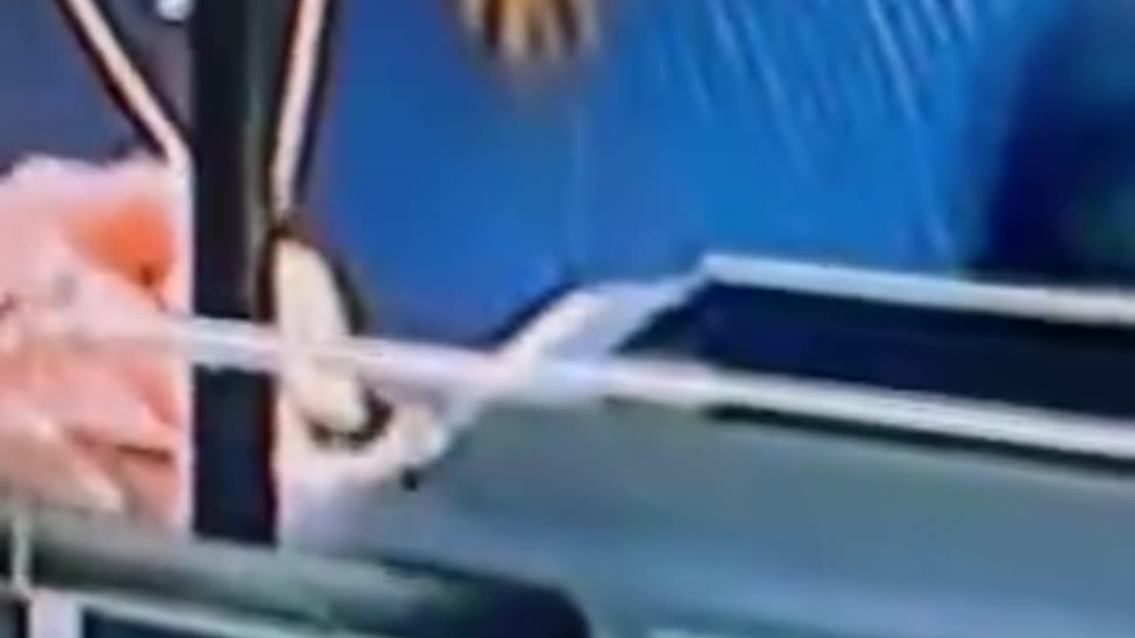 😳..what...the..WHAT?