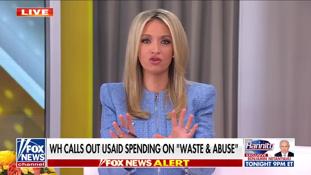 Dems, MSNBC hosts sent into PANIC over Elon Musk's DOGE cuts