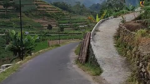 Beautiful view