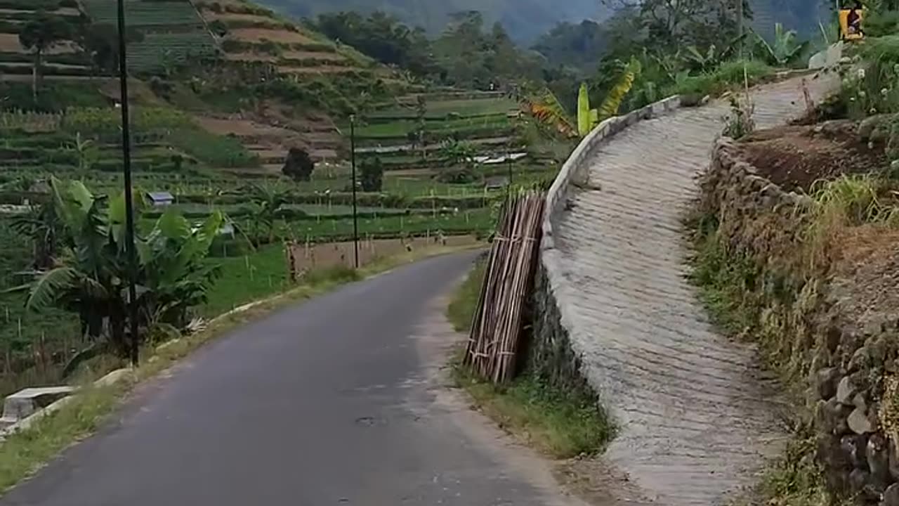 Beautiful view