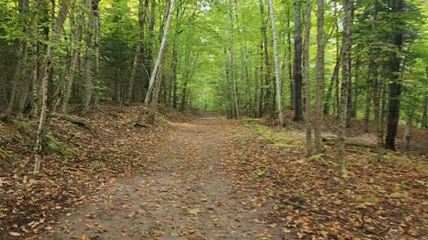 Restoule Provincial Park Hike