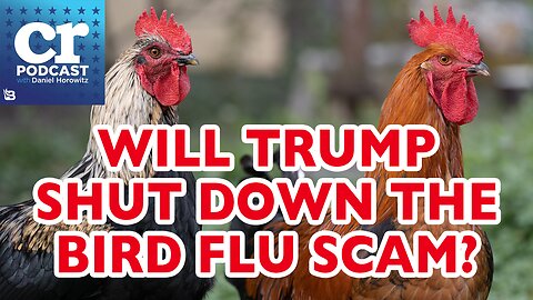 Bird-Flu Perfidy, the Fight Against mRNA, and Where Is RFK Jr.?