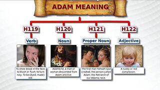 What is the meaning of the word "Adam"?