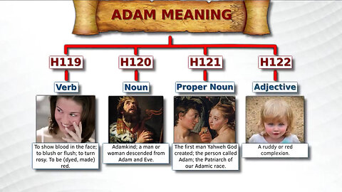 What is the meaning of the word "Adam"?