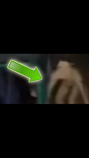 Sehen wir hier eine Invasion von Skinwalker Grey Aliens?