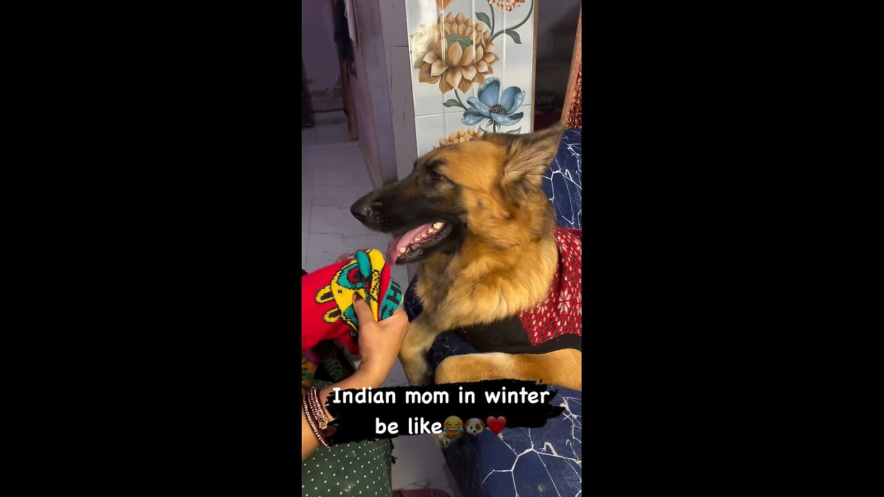 Indian mom in winter me like 😂🐕🐶❤️