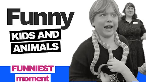 🤣Funny Babies And Animals Funniest Video Funny Video Funny Animals Funny moments Funny Complication