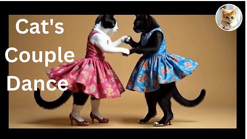 Adorable Cat Couple's Dance Moves Will Melt Your Heart! 😻💃🎶 #FunnyCats #PetDance