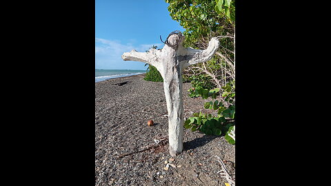 Playa de cristos PR