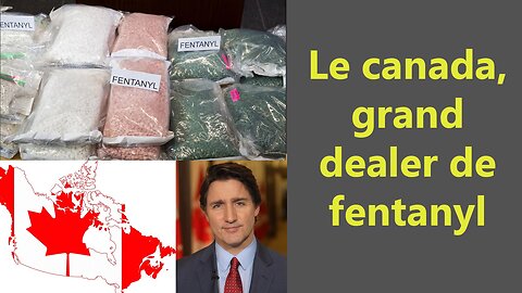 Le Canada, un gros dealer de fentanyl