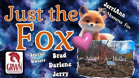 Just the Fox - Adopt-a-Holler UPDATE!!