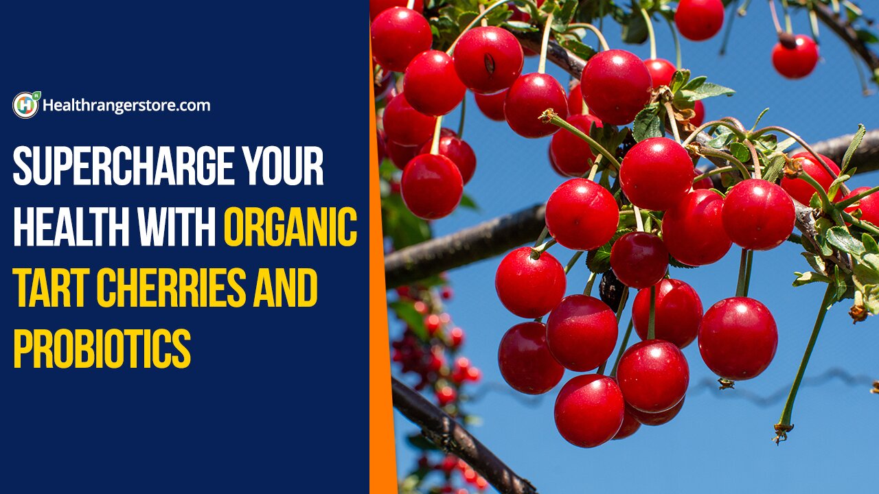 Supercharge your health with Organic Tart Cherries and Probiotics