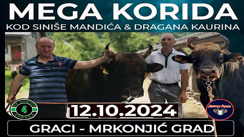 Korida kod Siniše Mandića i Dragana Kaurina Graci 2024