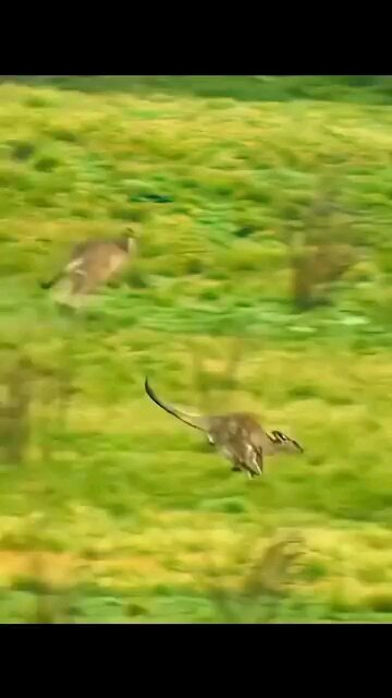 Believing in yourself