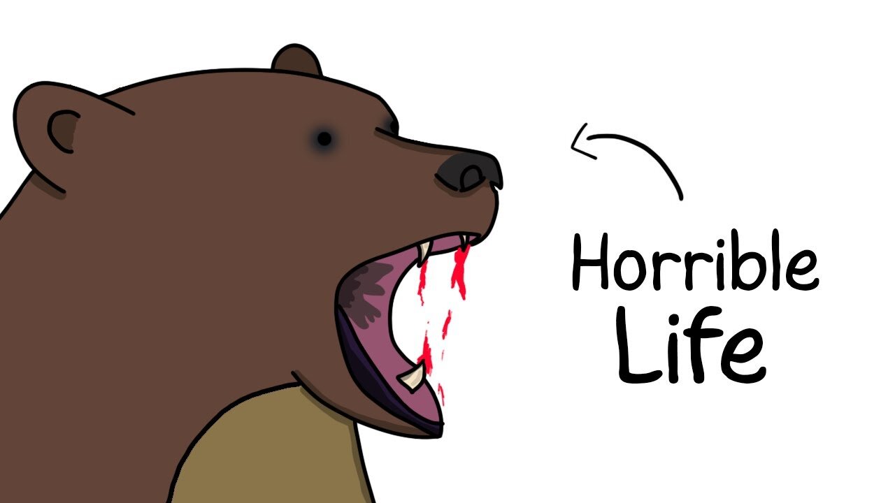 Why It Sucks to Be Born as a Brown Bear