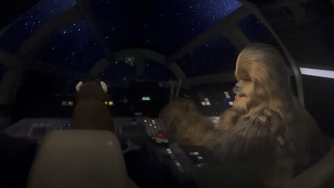 Arlo and Chewbacca on the millennium falcon ￼