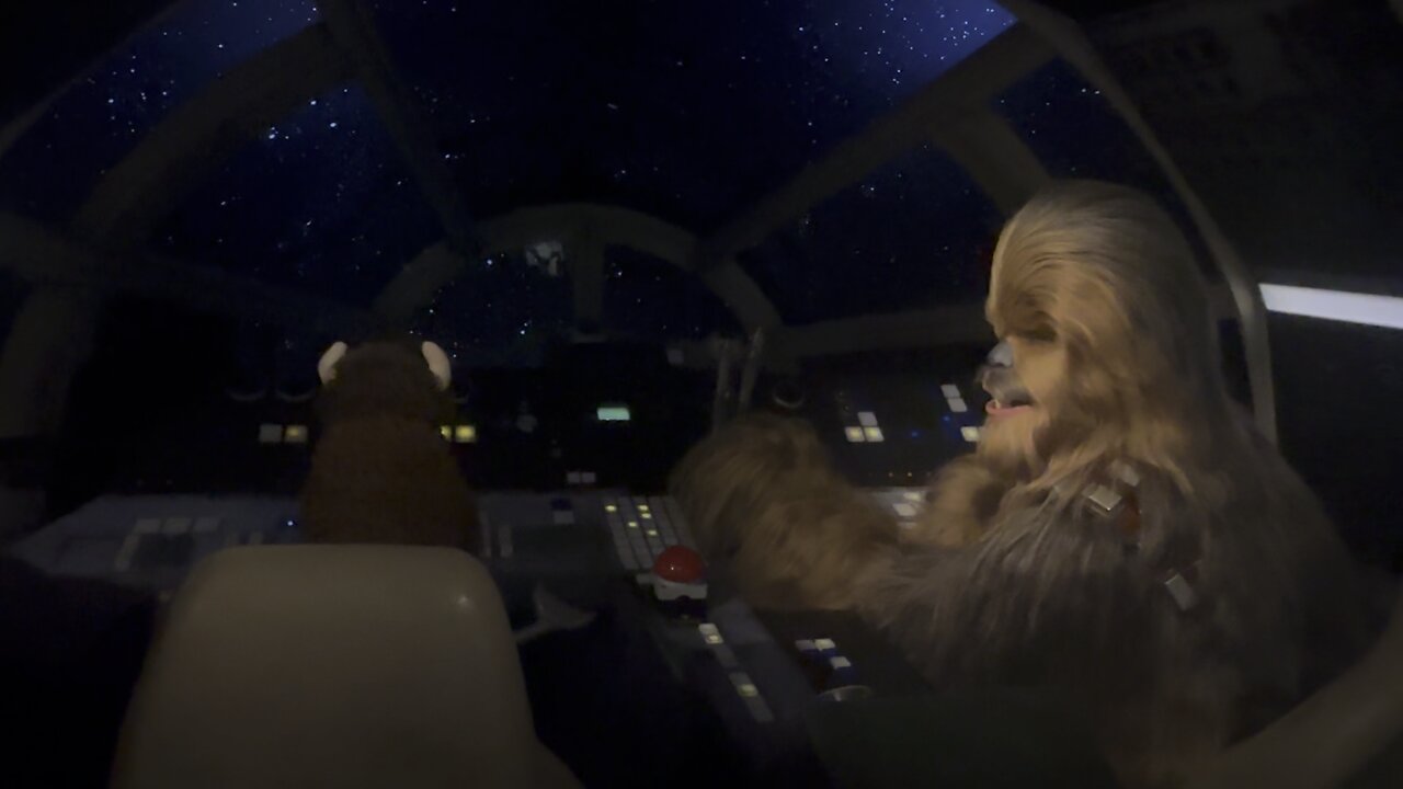 Arlo and Chewbacca on the millennium falcon 