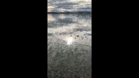 Lake Lowell Rockhunt?