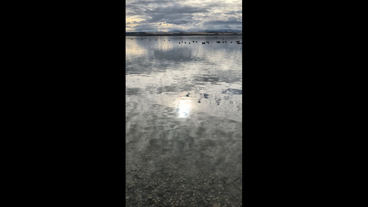 Lake Lowell Rockhunt?