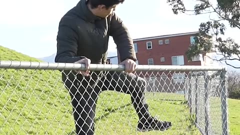 "Animals vs. Fence: The Funniest Showdown You’ll See Today! 🐒😂"