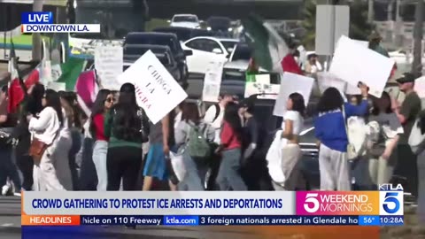 Illegal aliens are protesting President Donald Trump.