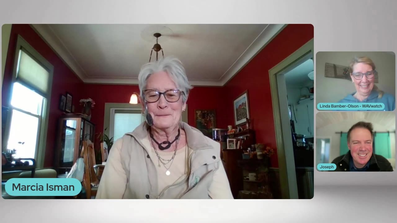 WAVwatch Customer Review for Mercury Detox, and Better Sleep #soundwavetherapy