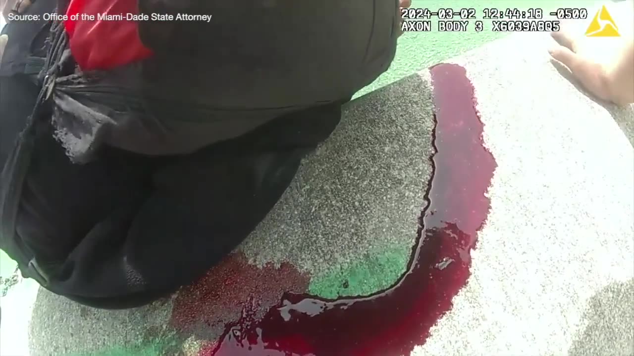 Frantic body camera footage shows the moment a Miami Beach police officer is shot by another officer