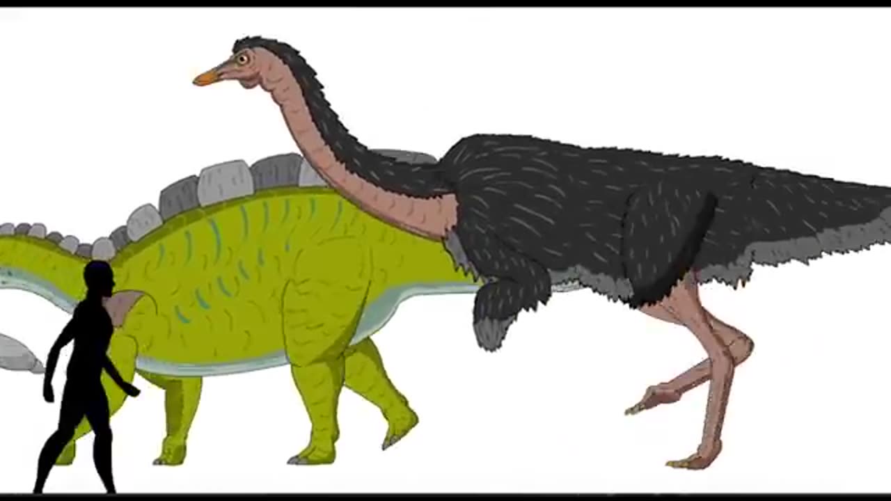MARCHING DINOSAURS | Animated Size Comparison
