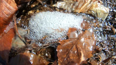 Stream Foam