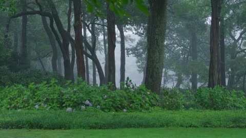 The beautiful park is raining