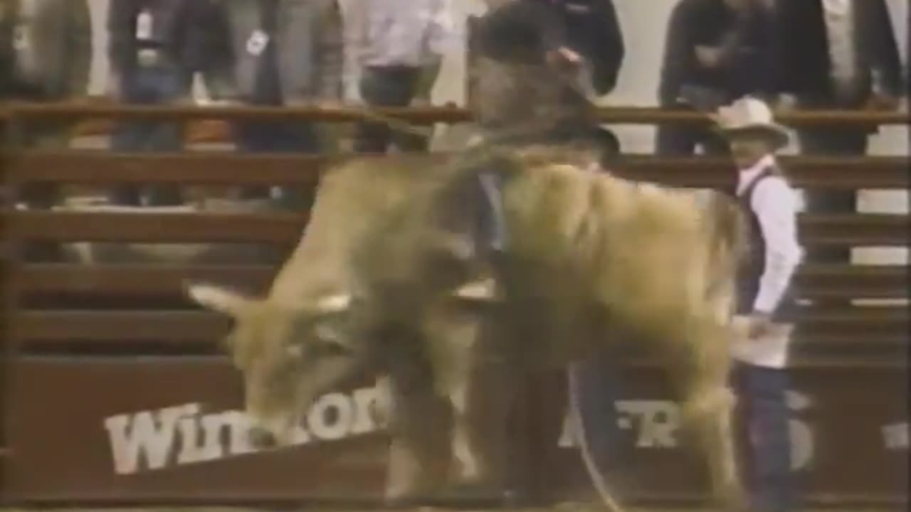 Flip Side of Rodeo 1989 Part 1