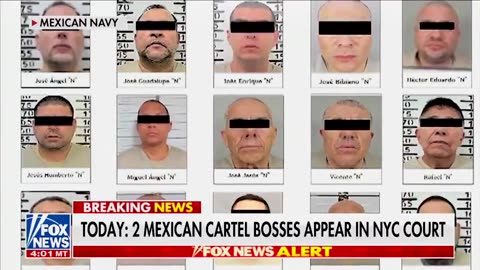 President Trump has secured the extradition of 29 Mexican drug cartel bosses to face charge