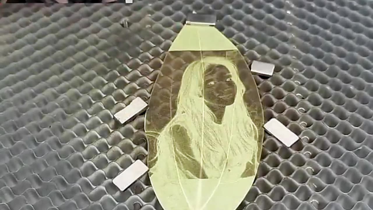 Leaf laser device 🌿