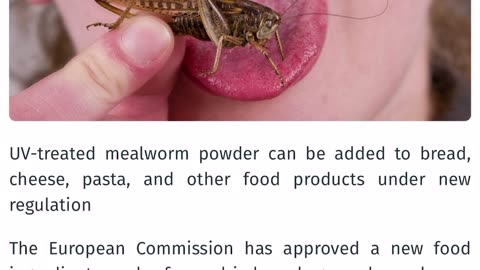 Locust and Beetle ingredients in foods