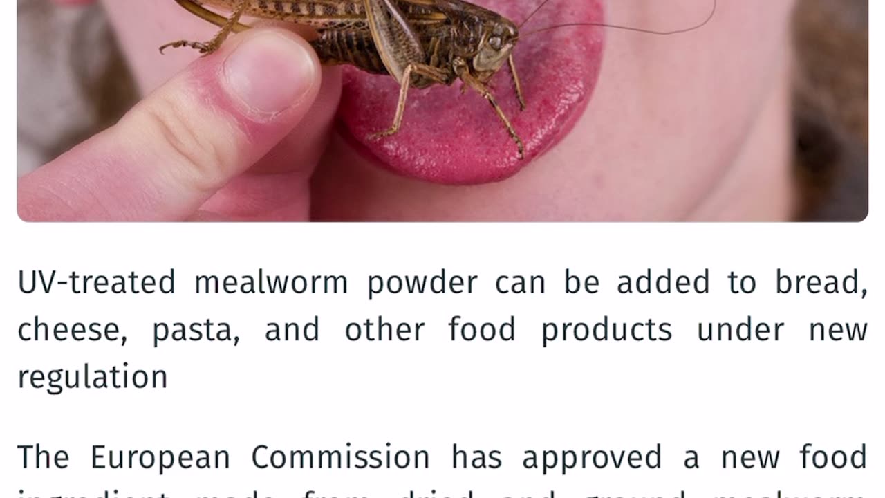 Locust and Beetle ingredients in foods