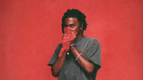 Playboi Carti - Not Real