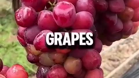 This One is Necessary! Shocking Health Facts! #HealthTips #Shorts #Foodie #Superfood #Diet #Trending
