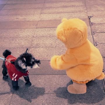 This Tiny Kid Can So Far