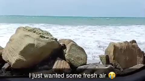 Wants Fresh Air 😂