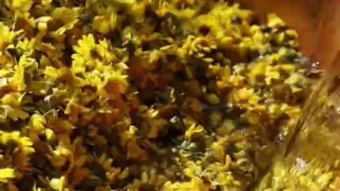 Chrysanthemum Tea_ A Journey from Nature to Your Cup (720p60fps)